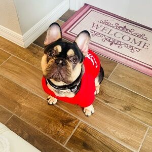 Meet your Posher, Mya zirel